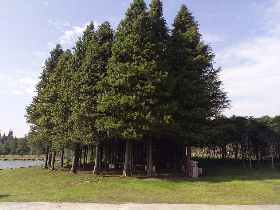 公司團建行者拓展推薦丨崇明島國家地質公園